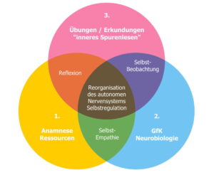 neurosensorisches Training - Grafik Ablauf